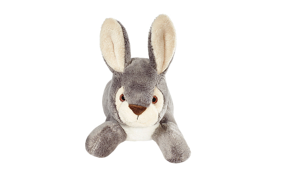 Jessica Bunny – Downtown Dogs